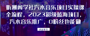 听潮阁学社汽水音乐项目实操课全流程,2023超级蓝海项目,汽水音乐推广,0粉丝也能做!网赚项目-副业赚钱-互联网创业-资源整合歪妹网赚